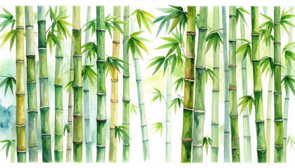 Obraz premium Watercolor painting of bamboo forest. Peaceful and natural Japanese style. Hand drawn art.