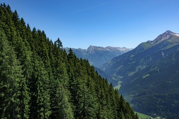 Explore the stunning landscapes of Austria's mountainous regions surrounded by lush pine forests and scenic vistas under a clear blue sky