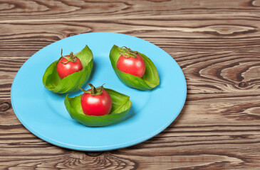 on a wooden background a blue plate with green basil and cherry tomatoes