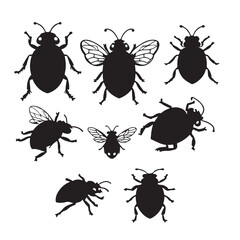 Black Ladybird Icon Set
