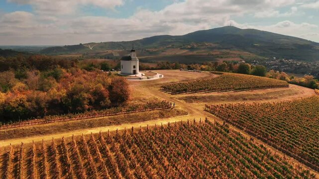 Vinery in Tokaj wine region, Hungary. Saint Theresa chapel on top of the hill of a wineyard plantation.