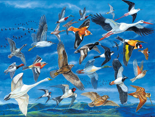 Many birds of different species flying over a landscape