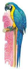 Blue and yellow macaw perched on wooden stick illustration