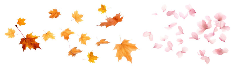 Obraz premium PNG Autumn leaves and petals scattered, element set on transparent background