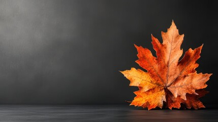 A solitary autumn maple leaf with vivid orange hues resting on a dark surface, symbolizing change and the beauty of nature during the fall season.