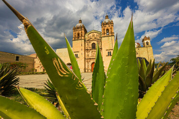 Oaxaca de Juárez, a city in central Mexico, features colonial buildings, many of which are in the...
