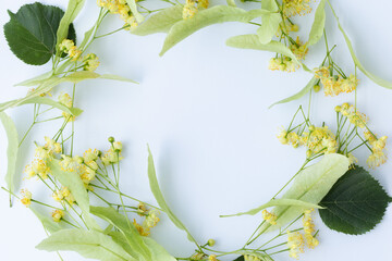 Linden flowers with leafs on a white background. Mockup.