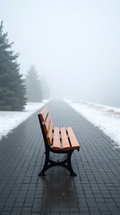 Bench awaits in misty, tranquil winter setting.