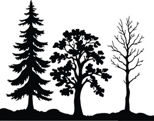 Obraz premium Tree Evolution Silhouette Symbol Set Featuring Three Contrasting Tree Forms: A Leafless Deciduous Tree with Exposed Branches Representing Dormancy or Winter, a Fully Leafed-Out Canopy Tree Signifying 