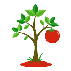 Tree Tomato Flat Icon Design