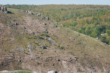 Over grass and stone, where gentle slopes meet forested plains in Eastern Europe's rolling...