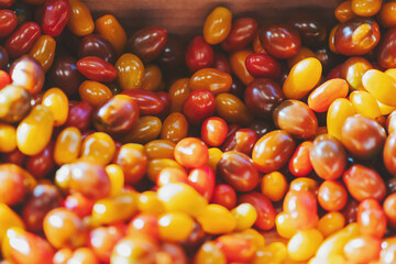 A rainbow of flavor in a garden medley of heirloom grape tomatoes at the farmers market, perfect for summer salads 
