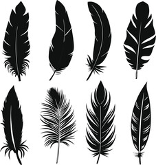 Obraz premium Collection of Black Feather Silhouettes