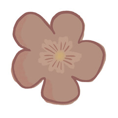 pink flower