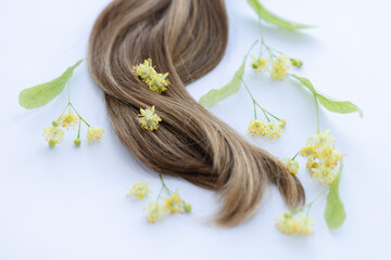 Naklejka premium Female hair with yellow linden flowers. Closeup