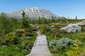 Wooden Path Leading to Mountain Trail at Gaustadblikk © Dag Ivar Nordby