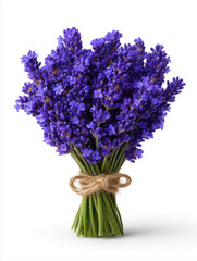 Hyacinth flower arrangement in rustic vase on white background
