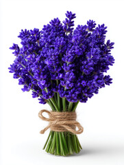 Purple hyacinth flowers in burlap vase on white background
