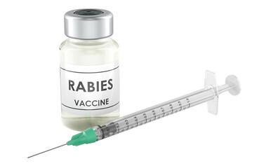 Rabies vaccine vial and syringe. 3D rendering isolated on transparent background