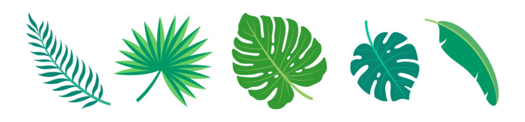 Summer border with tropical leaves. Green monstera, banana leaf and fan palm branch. Cute plant frame repeat element isolated on white background. Flat design vector illustration.