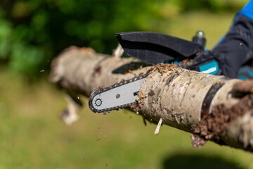 Electric chain saw for harvesting firewood.Sawing old firewood in the yard.A cordless saw.