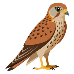 Kestrel Bird Silhouette Vector