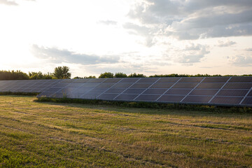 Solar Panels in Countryside Field at Sunset, Renewable Energy Concept