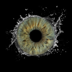 green eye iris