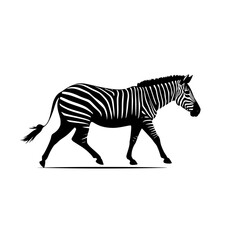 A zebra walking slowly on plain open land – clean animal vector