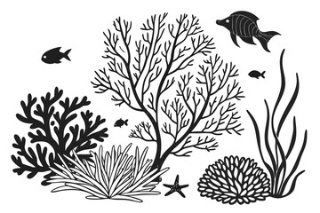 Seaweed and coral silhouettes. Underwater coral reef illustration in a hand drawn style. Illustration of marine aquarium plants.