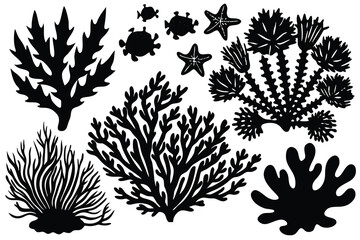 Seaweed and coral silhouettes. Underwater coral reef illustration in a hand drawn style. Illustration of marine aquarium plants.