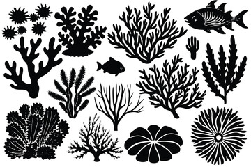 Seaweed and coral silhouettes. Underwater coral reef illustration in a hand drawn style. Illustration of marine aquarium plants.