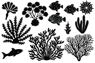 Seaweed and coral silhouettes. Underwater coral reef illustration in a hand drawn style. Illustration of marine aquarium plants.