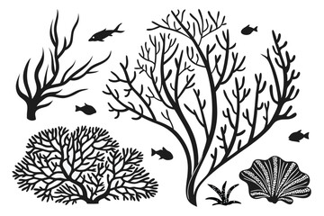 Seaweed and coral silhouettes. Underwater coral reef illustration in a hand drawn style. Illustration of marine aquarium plants.