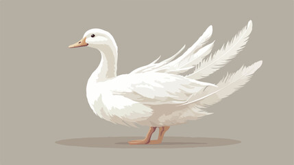 Obraz premium White Feathered Duck Flat Vector Illustration