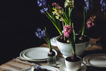 Beautiful elegant table setting for Easter celebration with fresh spring hyacinth flowers, burning...