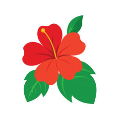 Tropical hibiscus with green leaf accents Vector illustration
