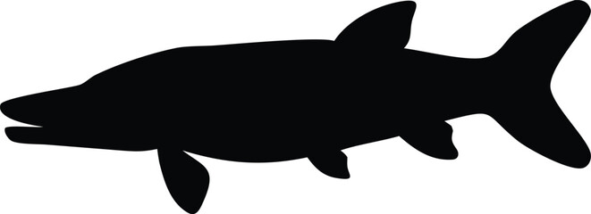 pike fish silhouette 