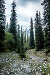 Obraz premium beautiful nature scenes around ala-archa gorge in kygyzstan