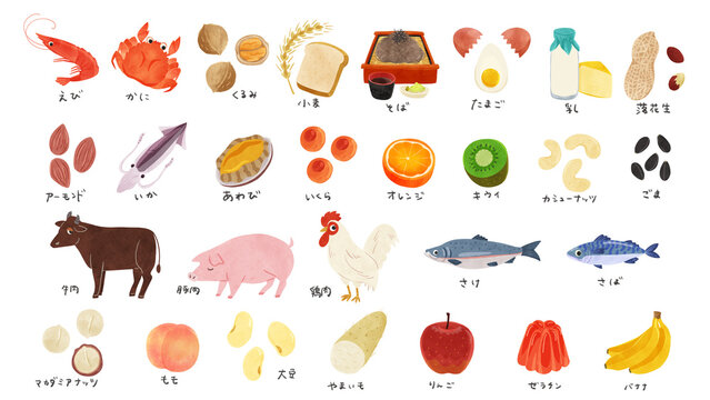 特定原材料28品目セット　水彩風手描きイラスト