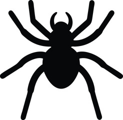 spider silhouette