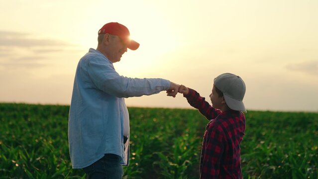 Father farmer child son teamwork in field. Family agricultural business. Father child son fist bump, express respect friendly communication. Family education. Dad son fist on fist mutual understanding