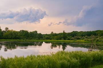 Storm Clouds Reflecting Over a Quiet Wetland