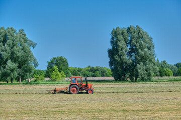 Red vintage tractor raking hay on a sunlit rural field, surrounded by tall green trees and clear...