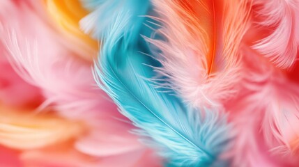 Obraz premium A stunning array of colorful feathers creates a delightful abstract texture, revealing the beauty of nature's design through vibrant hues and soft details.