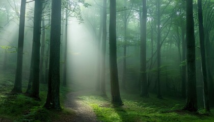 A serene forest path bathed in morning fog with sunlight filtering through tall green trees in a calm atmosphere. International Day of Forests