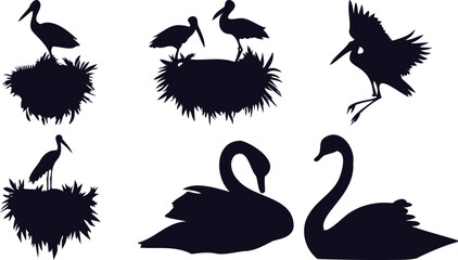 Swans and Nesting Birds