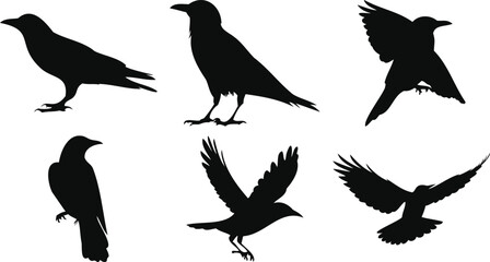 Perched and Flying Birds Vectors