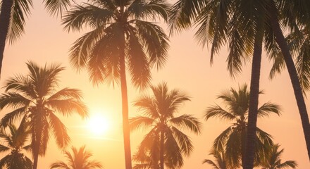 Silhouette Palm Trees at Sunset Tropical Beach