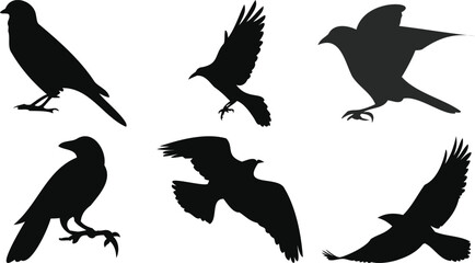 Mixed Perched and Flying Birds